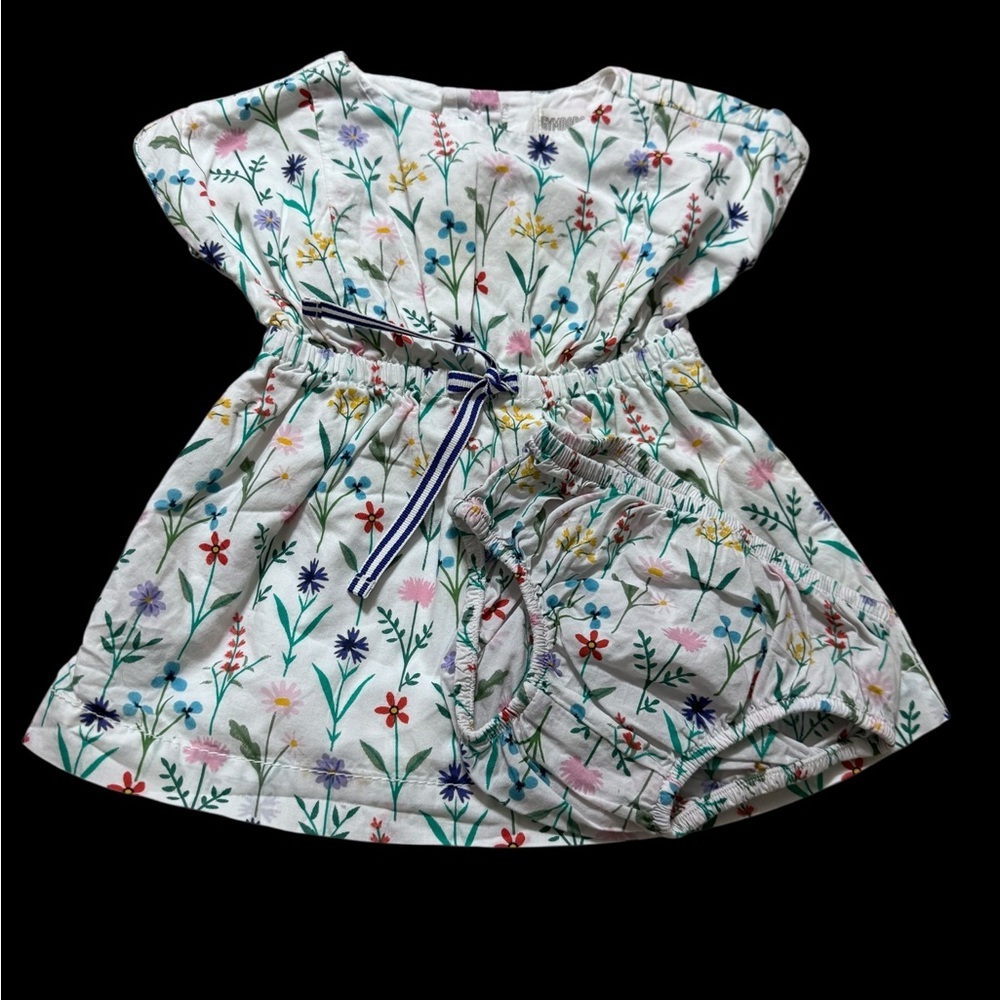 Gymboree White Floral Baby Dress